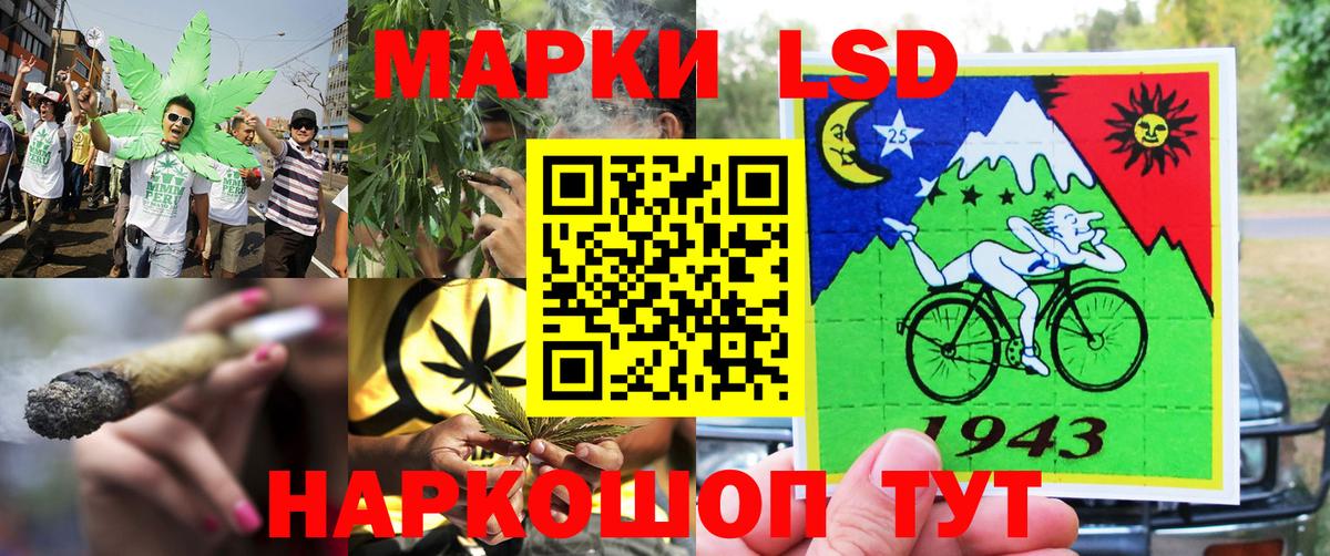 БУТИРАТ Нефтекумск