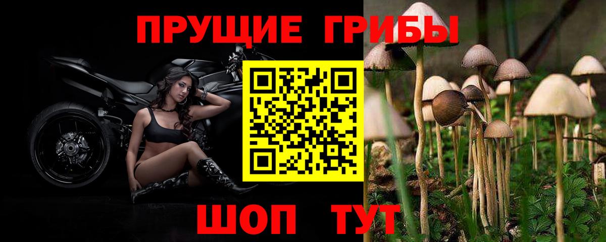 Псилоцибиновые грибы Cubensis  Вход с VPN  Нефтекумск  Галлюциногенные грибы MAGIC MUSHROOMS 